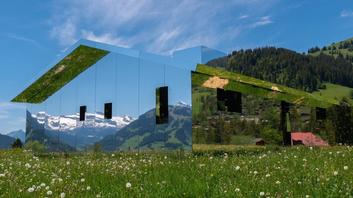 House of Mirrors by Corina Rosca