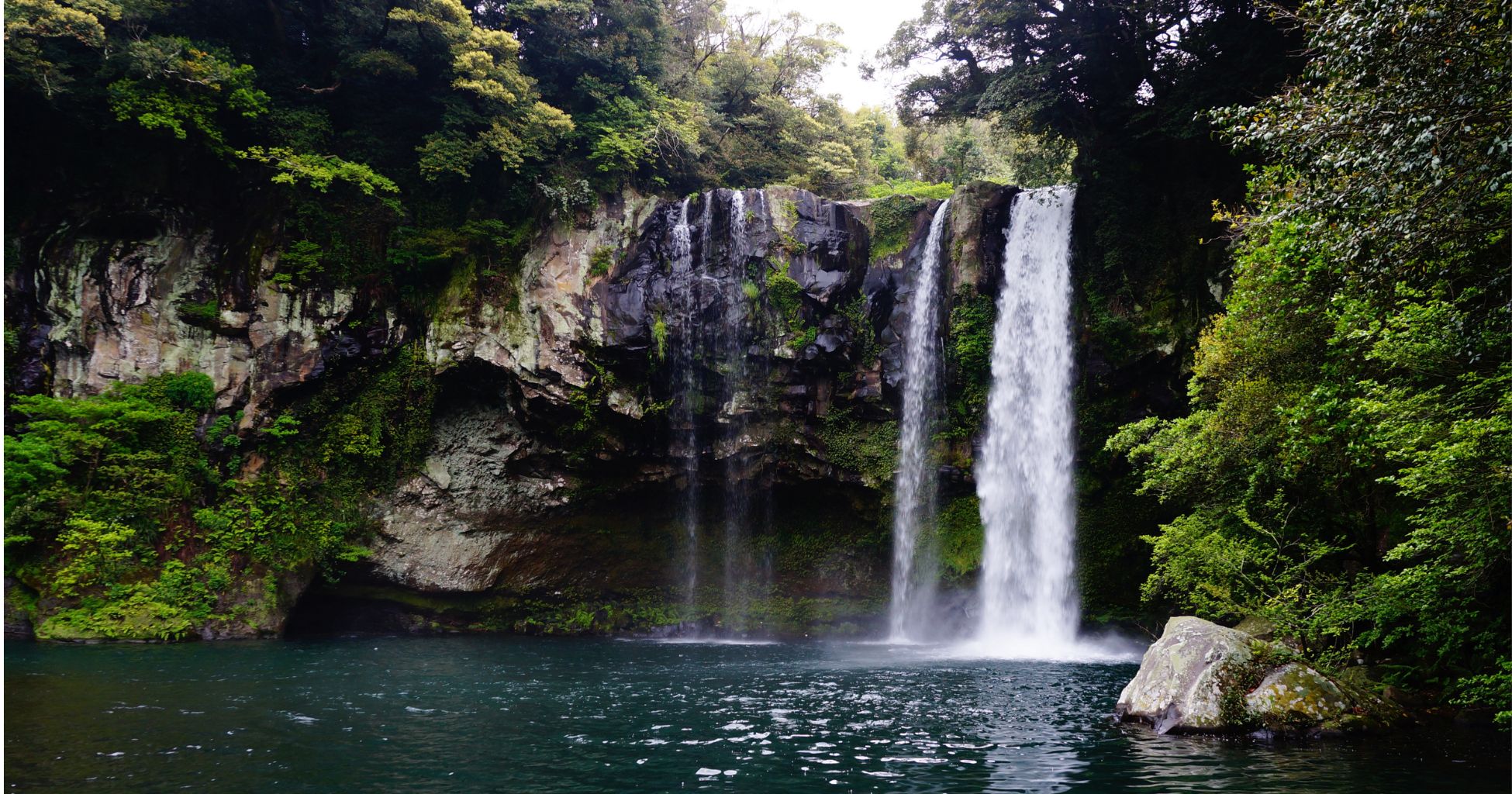 Hacking Forever Chemicals for Highly Sensitives: 8 Easy Detox Habits