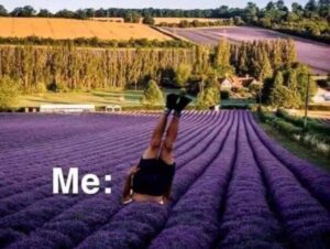 How Highly Sensitive People Can Set Boundaries With People Lavendar