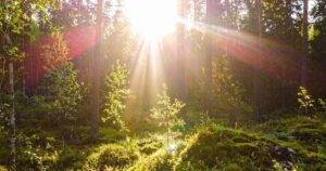 How Highly Sensitive People Can Set Healthy Emotional Boundaries Without Feeling Guilty filter