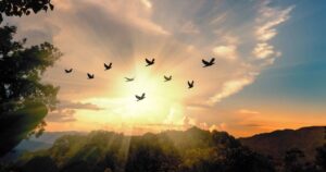 How Highly Sensitive People Can Set Healthy Emotional Boundaries Without Feeling Guilty freedom