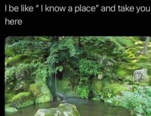 How Sensitivity Connects to Intuition and Inner Guidance nature vibe