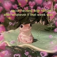 How Sensitivity Connects to Intuition and Inner Guidance reconnect nature