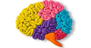 Is High Sensitivity a Form of Neurodivergence